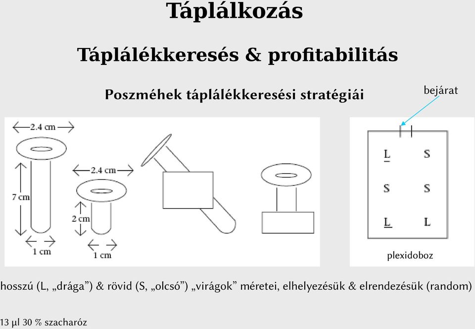 plexidoboz hosszú (L, drága ) & rövid (S, olcsó )