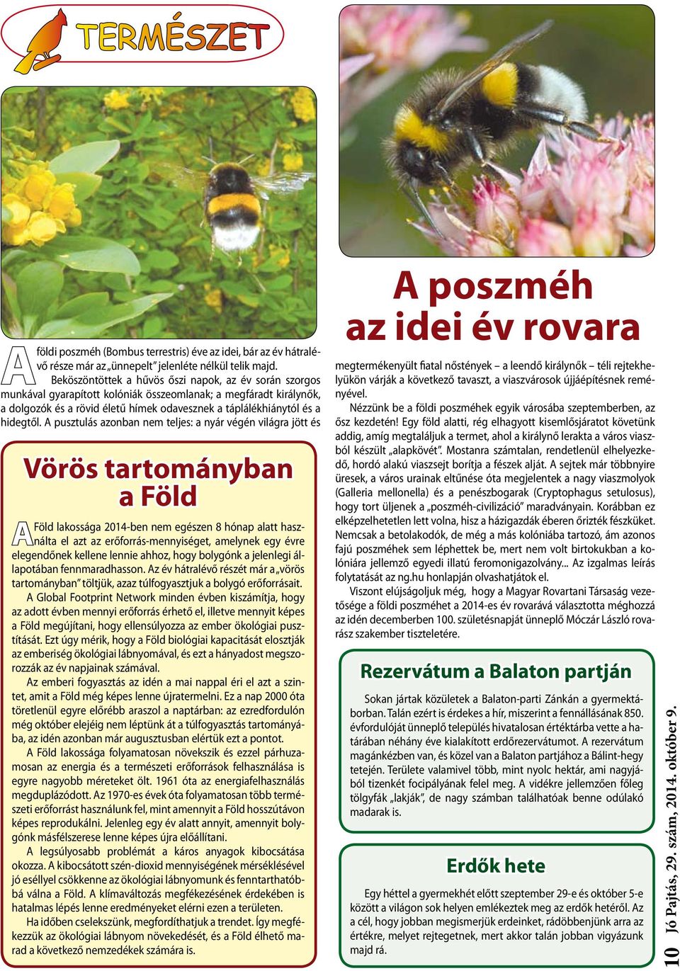 A pusztulás azonban nem teljes: a nyár végén világra jött és Vörös tartományban a Föld A Föld lakossága 2014-ben nem egészen 8 hónap alatt használta el azt az erőforrás-mennyiséget, amelynek egy évre