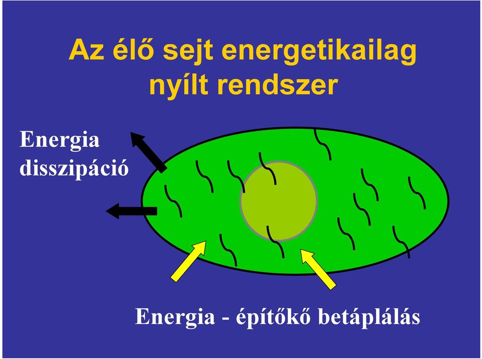 rendszer Energia