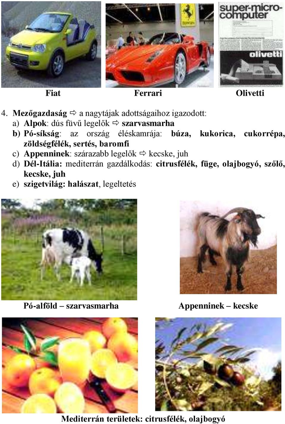 éléskamrája: búza, kukorica, cukorrépa, zöldségfélék, sertés, baromfi c) Appenninek: szárazabb legelők kecske, juh