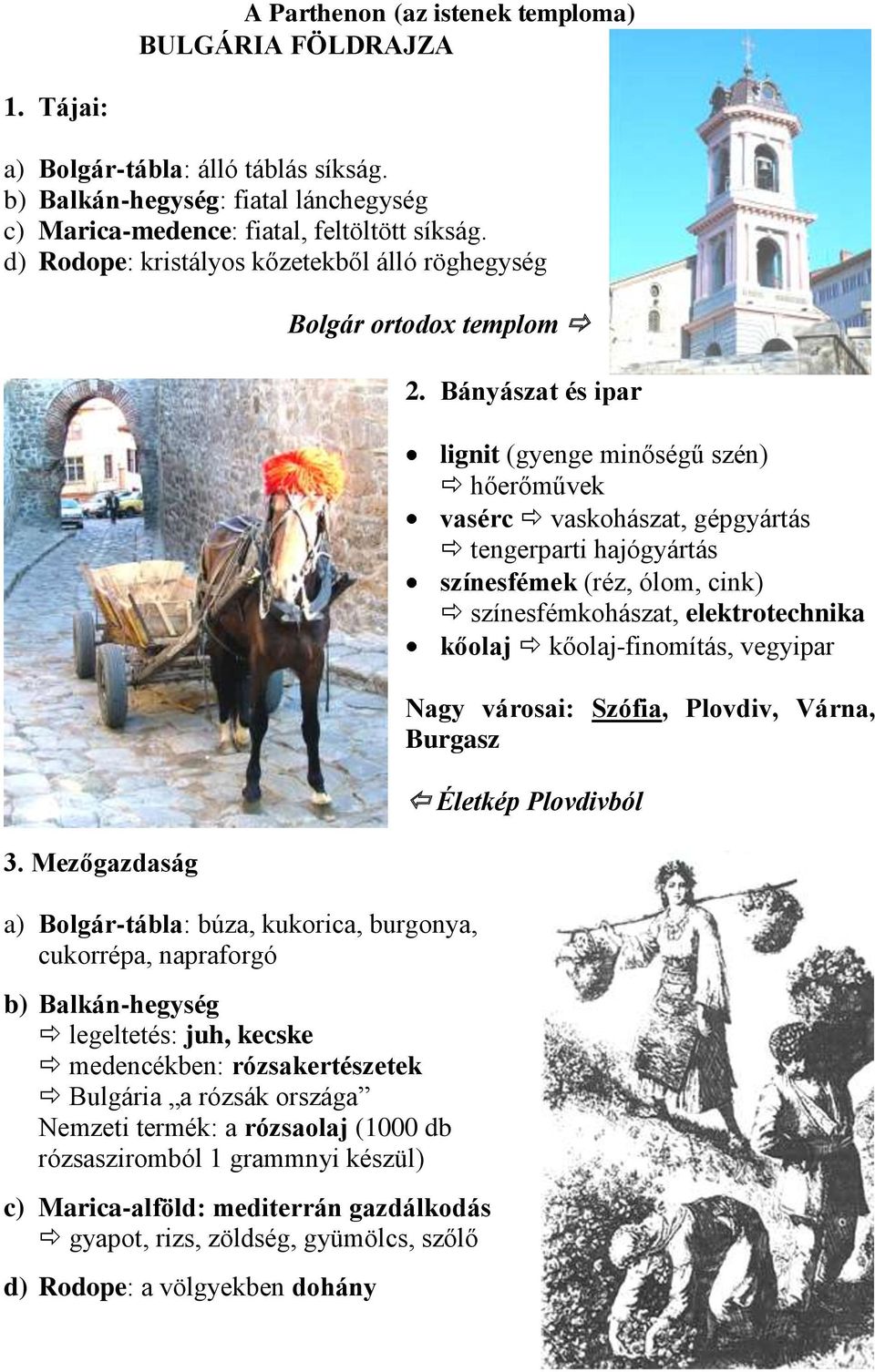 Mezőgazdaság Bolgár ortodox templom a) Bolgár-tábla: búza, kukorica, burgonya, cukorrépa, napraforgó b) Balkán-hegység legeltetés: juh, kecske medencékben: rózsakertészetek Bulgária a rózsák országa