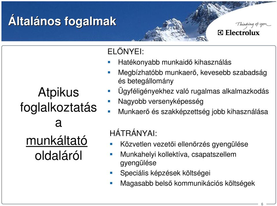 versenyképesség Munkaerő és szakképzettség jobb kihasználása HÁTRÁNYAI: Közvetlen vezetői ellenőrzés gyengülése