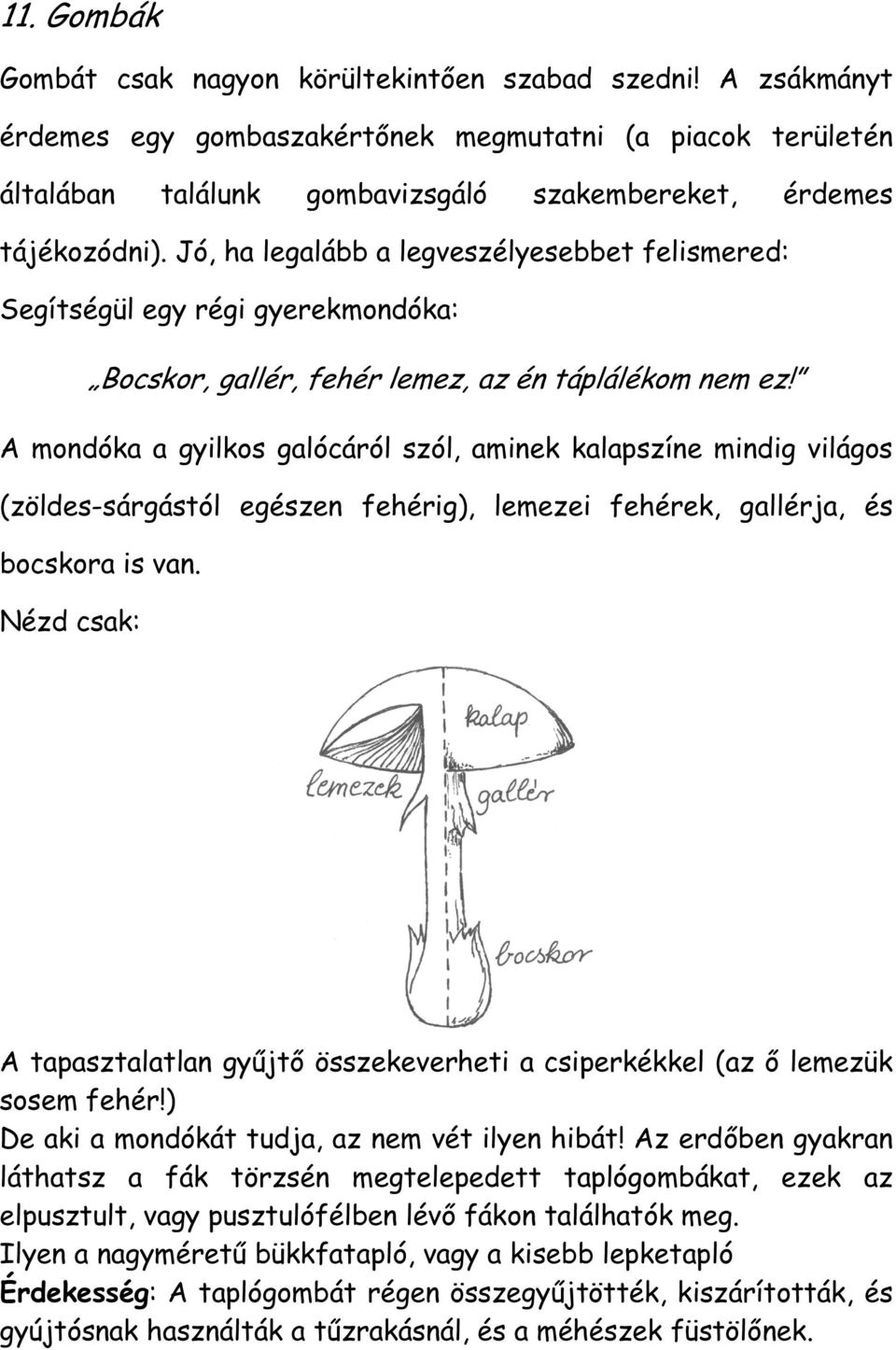 Jó, ha legalább a legveszélyesebbet felismered: Segítségül egy régi gyerekmondóka: Bocskor, gallér, fehér lemez, az én táplálékom nem ez!