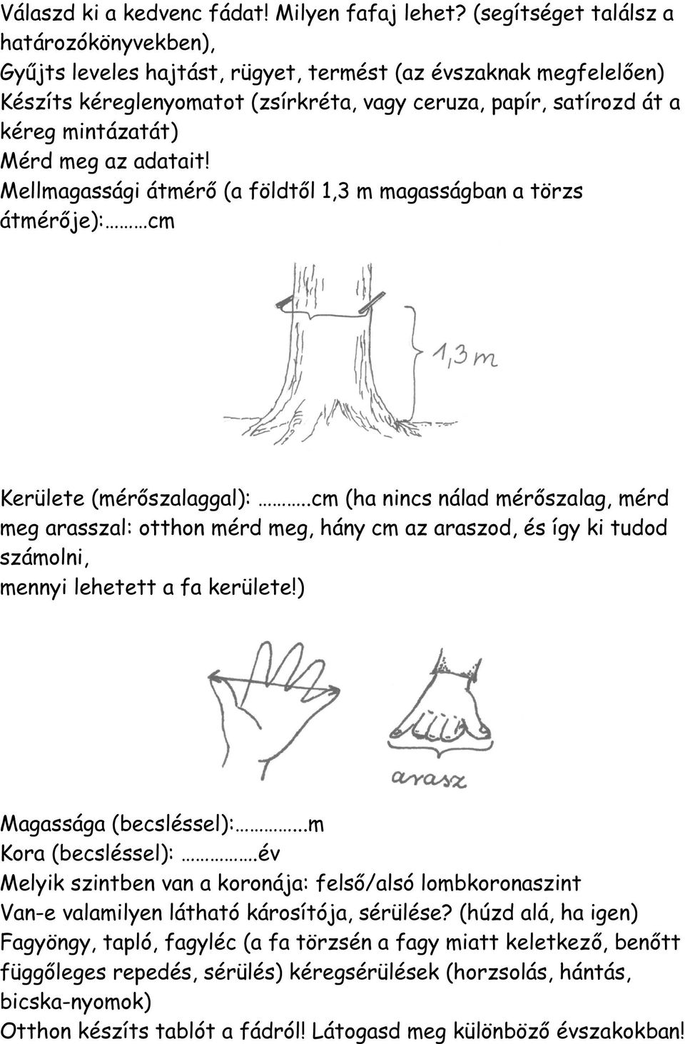 Mérd meg az adatait! Mellmagassági átmérő (a földtől 1,3 m magasságban a törzs átmérője): cm Kerülete (mérőszalaggal):.