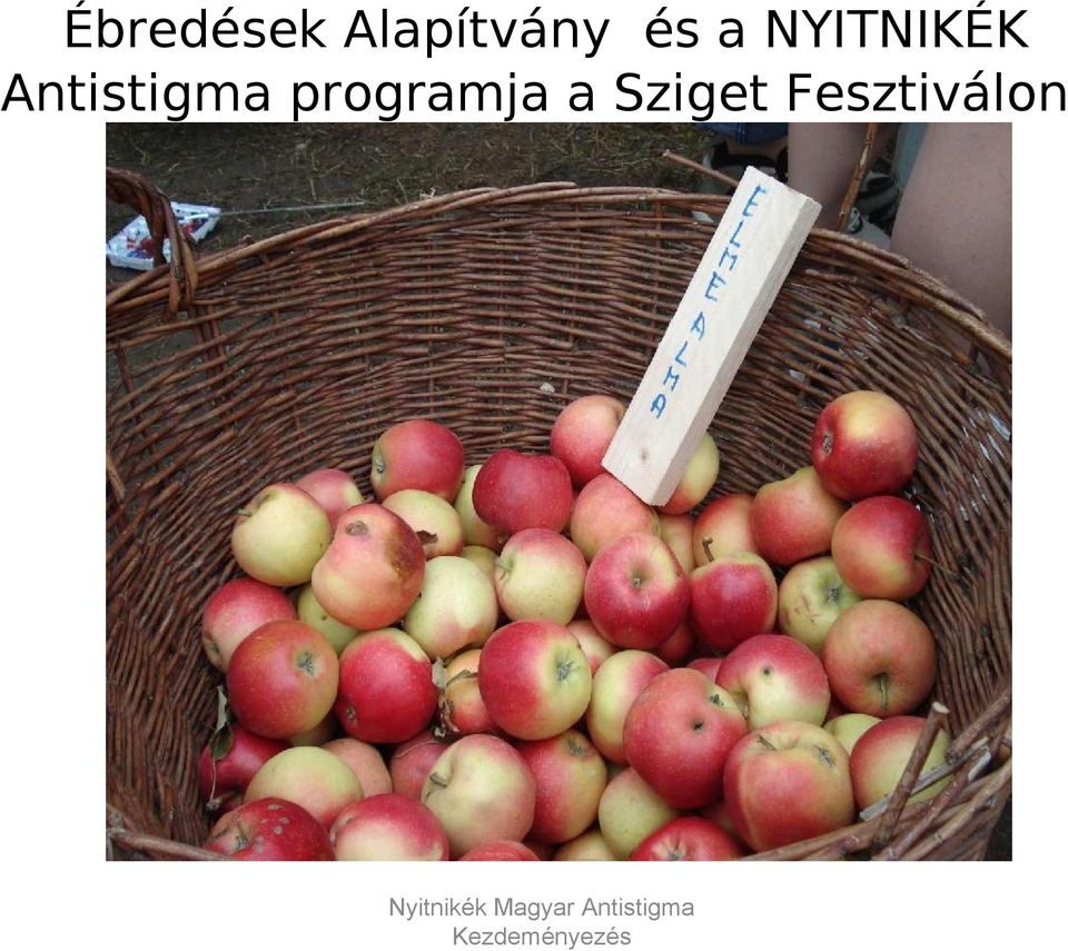 NYITNIKÉK