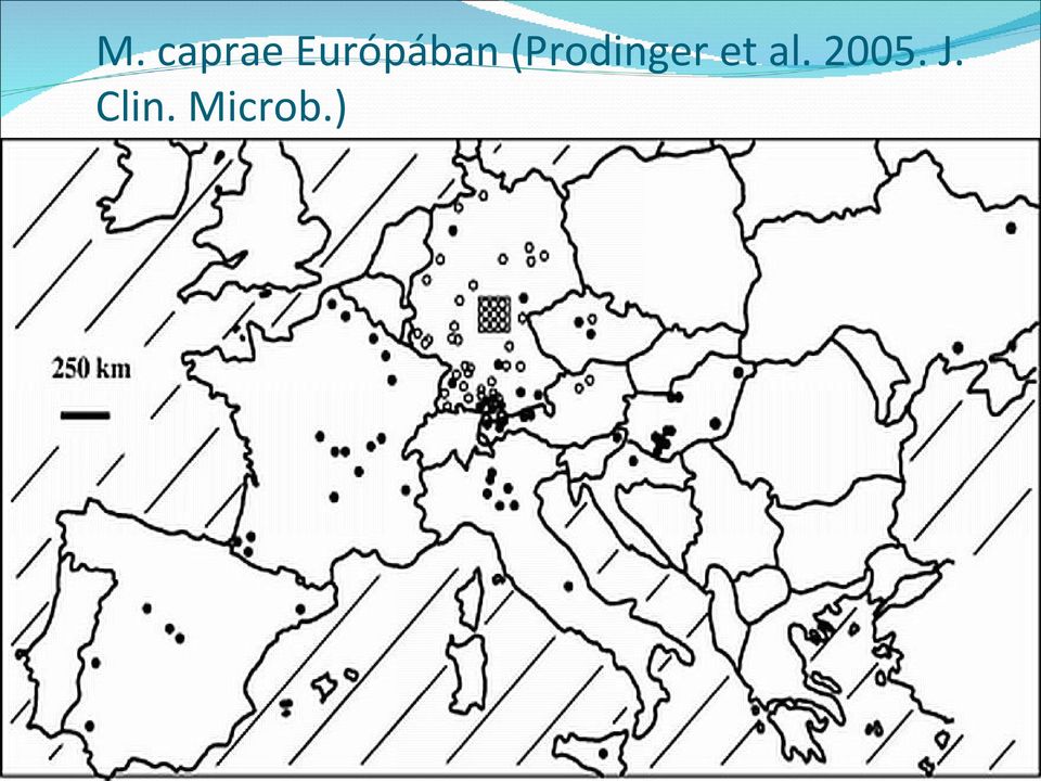 (Prodinger et