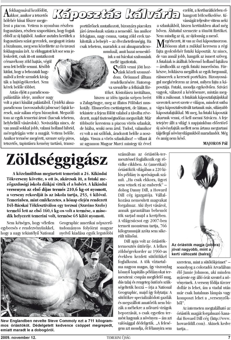 Temerinben, mint emlékezetes, a hónap elején rendezett Dél-Bácskai Tökfesztiválon egy torzsai (Szavino Szelo) termelő lett az első 160,4 kg-os volt a termése, a második helyezett temerini volt,