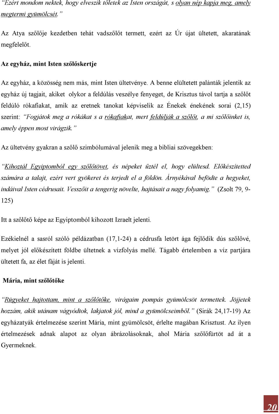 A benne elültetett palánták jelentik az egyház új tagjait, akiket olykor a feldúlás veszélye fenyeget, de Krisztus távol tartja a szőlőt feldúló rókafiakat, amik az eretnek tanokat képviselik az