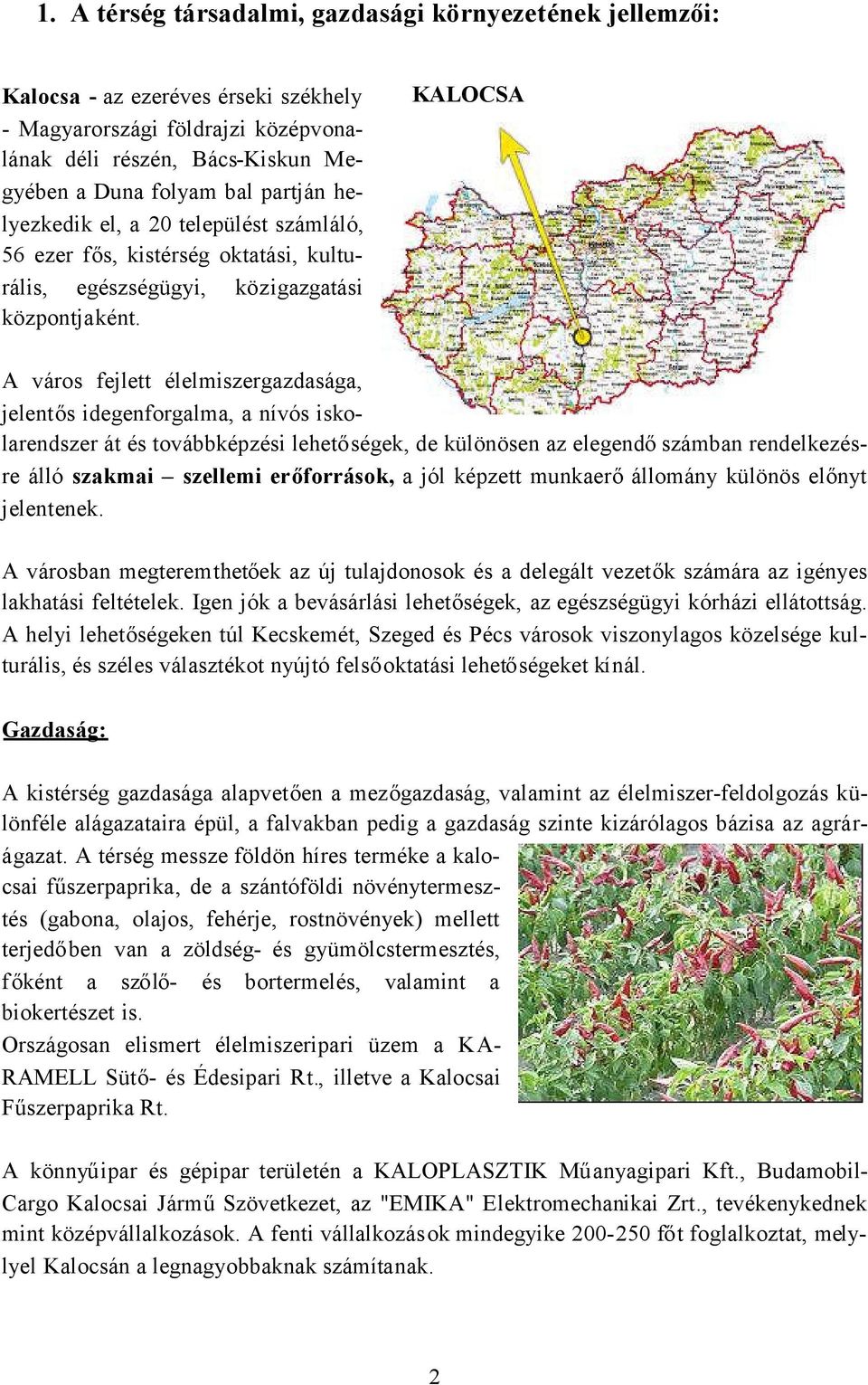 KALOCSA A város fejlett élelmiszergazdasága, jelentős idegenforgalma, a nívós iskolarendszer át és továbbképzési lehetőségek, de különösen az elegendőszámban rendelkezésre álló szakmai szellemi