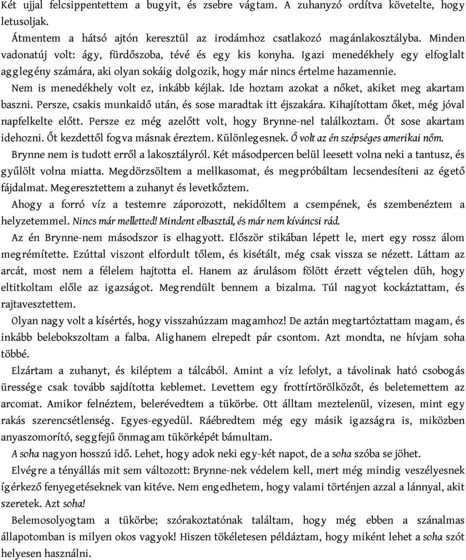 Nem is menedékhely volt ez, inkább kéjlak. Ide hoztam azokat a nőket, akiket meg akartam baszni. Persze, csakis munkaidő után, és sose maradtak itt éjszakára.