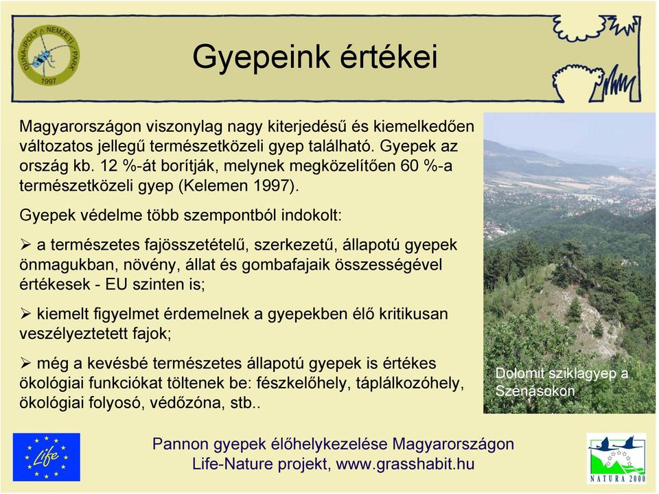 Gyepek védelme több szempontból indokolt: a természetes fajösszetételű, szerkezetű, állapotú gyepek önmagukban, növény, állat és gombafajaik összességével értékesek -