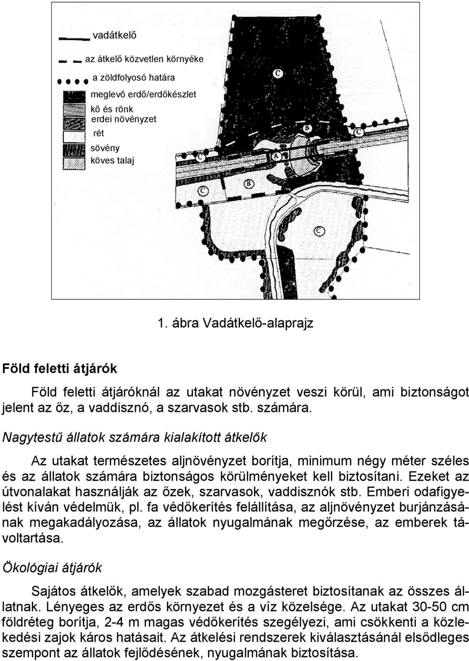 Nagytestű állatok számára kialakított átkelők Az utakat természetes aljnövényzet borítja, minimum négy méter széles és az állatok számára biztonságos körülményeket kell biztosítani.