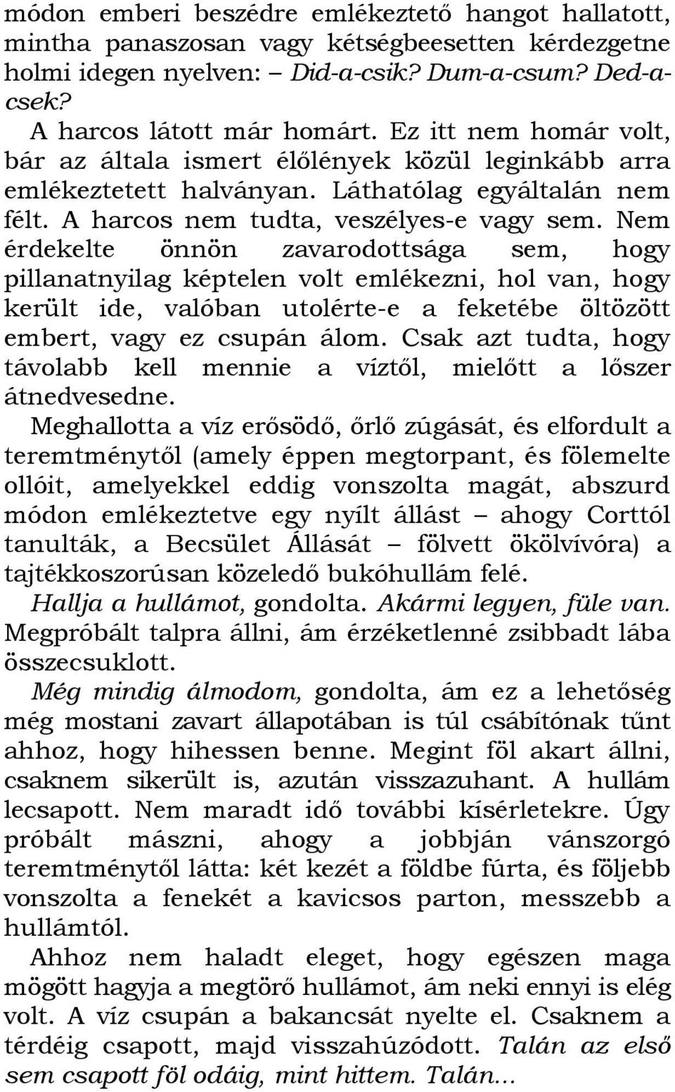 Nem érdekelte önnön zavarodottsága sem, hogy pillanatnyilag képtelen volt emlékezni, hol van, hogy került ide, valóban utolérte-e a feketébe öltözött embert, vagy ez csupán álom.