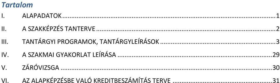 A SZAKMAI GYAKORLAT LEÍRÁSA... 29 V. ZÁRÓVIZSGA... 30 VI.