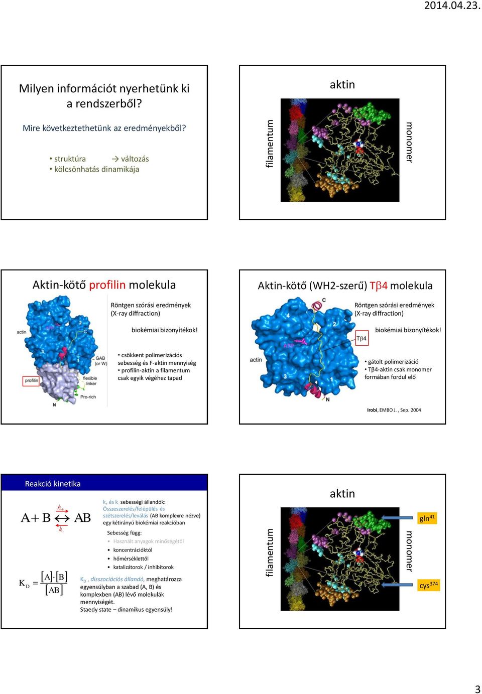 ktin-kötő (WH2-szerű) Tb4 molekula Röntgen szórási eredmények (X-ray diffraction) biokémiai bizonyítékok!