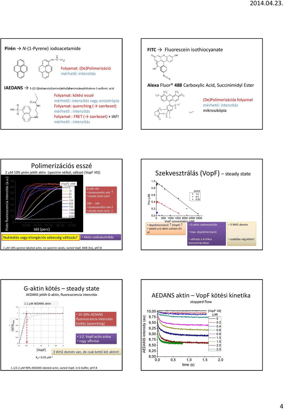 ) B ENS intensity (au) Fss (mm) Pirén N-(1-Pyrene) iodoacetamide FITC Fluorescein isothiocyanate Folyamat: (e)polimerizáció mérhető: intenzitás IENS