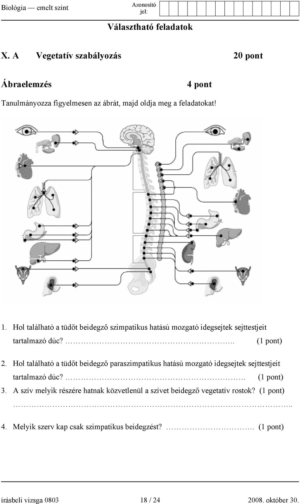 Hol található a tüdőt beidegző paraszimpatikus hatású mozgató idegsejtek sejttestjeit tartalmazó dúc? (1 pont) 3.