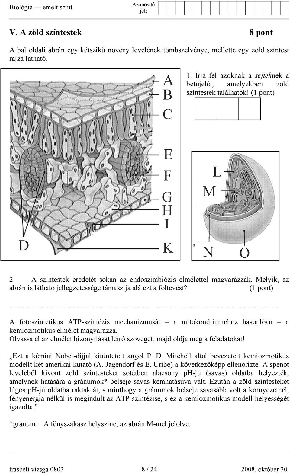 Melyik, az ábrán is látható jellegzetessége támasztja alá ezt a föltevést? (1 pont) A fotoszintetikus ATP-szintézis mechanizmusát a mitokondriuméhoz hasonlóan a kemiozmotikus elmélet magyarázza.