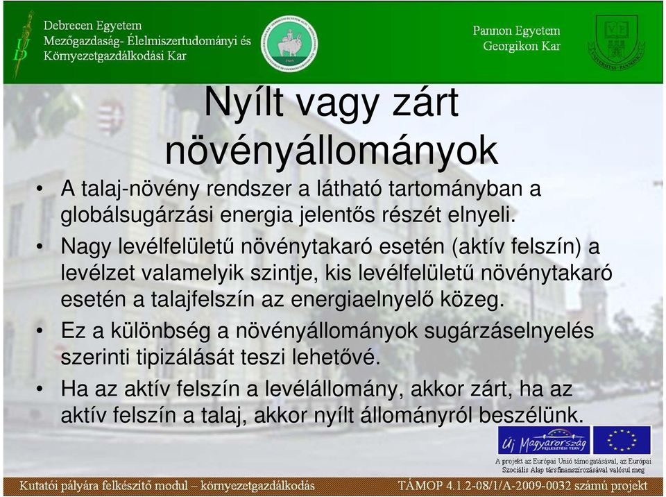 Nagy levélfelülető növénytakaró esetén (aktív felszín) a levélzet valamelyik szintje, kis levélfelülető növénytakaró esetén