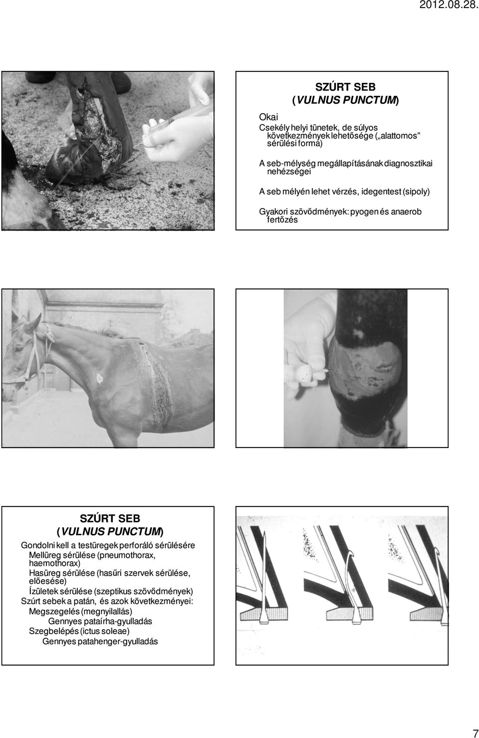 perforáló sérülésére Mellüreg sérülése (pneumothorax, haemothorax) Hasüreg sérülése (hasűri szervek sérülése, előesése) Ízületek sérülése (szeptikus szövődmények)