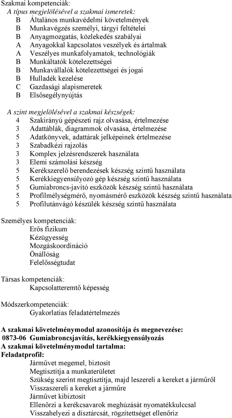 Elsősegélynyújtás A szint megjelölésével a szakmai készségek: 4 Szakirányú gépészeti rajz olvasása, értelmezése 3 Adattáblák, diagrammok olvasása, értelmezése 5 Adatkönyvek, adattárak jelképeinek