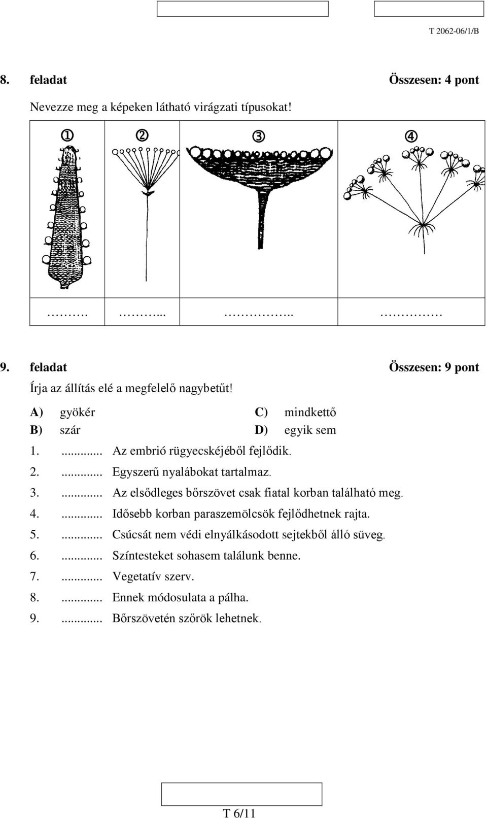 2.... Egyszerű nyalábokat tartalmaz. 3.... Az elsődleges bőrszövet csak fiatal korban található meg. 4.