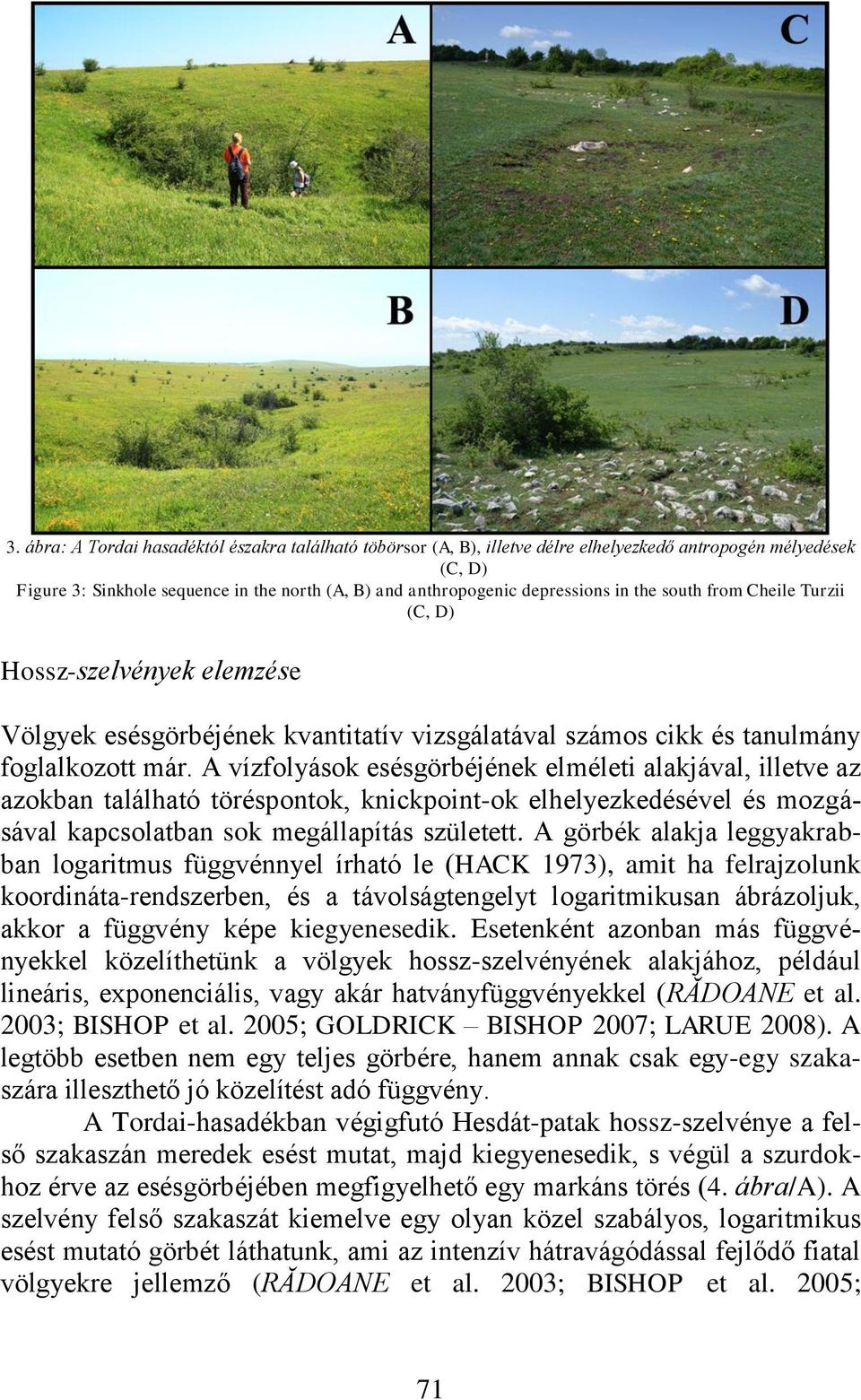 A vízfolyások esésgörbéjének elméleti alakjával, illetve az azokban található töréspontok, knickpoint-ok elhelyezkedésével és mozgásával kapcsolatban sok megállapítás született.