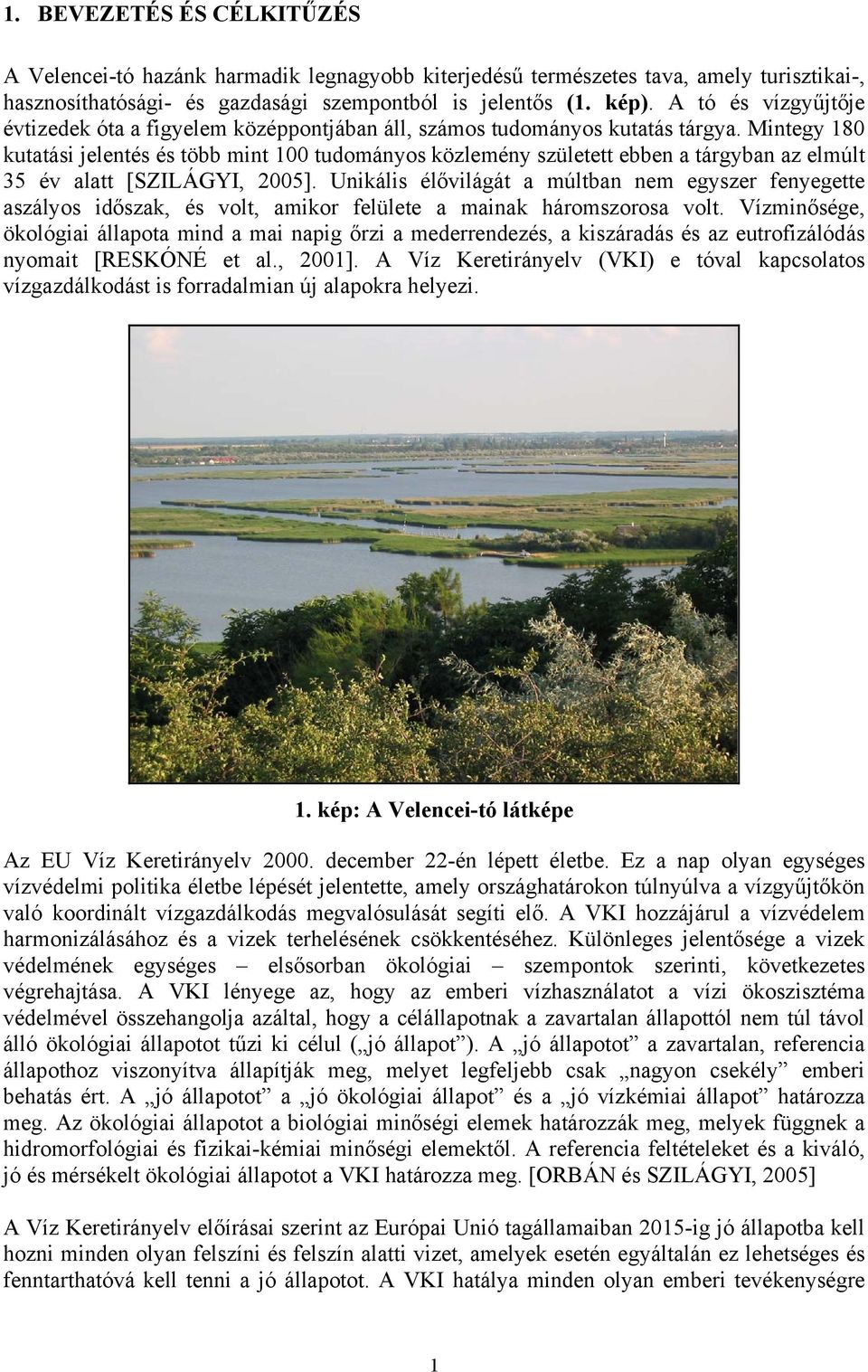 Mintegy 180 kutatási jelentés és több mint 100 tudományos közlemény született ebben a tárgyban az elmúlt 35 év alatt [SZILÁGYI, 2005].