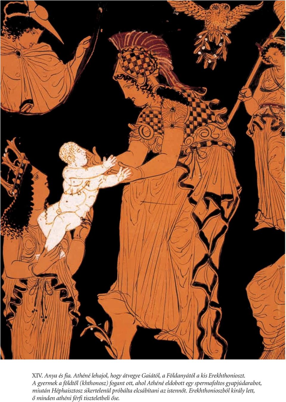 A gyermek a földtôl (khthonosz) fogant ott, ahol Athéné eldobott egy spermafoltos