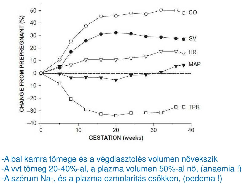 plazma volumen 50%-al nő, (anaemia!