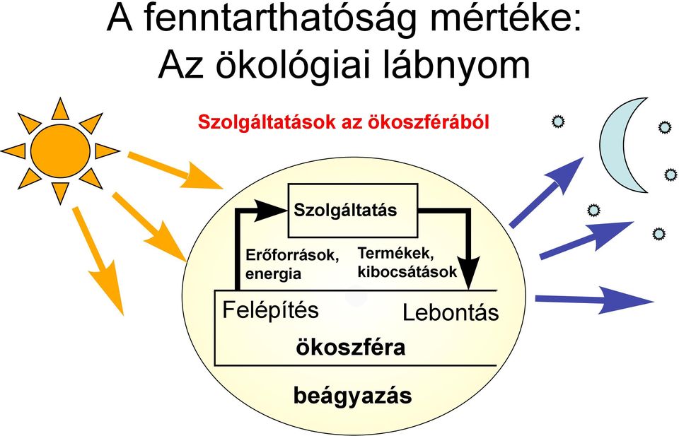 Szolgáltatás Erőforrások, energia Termékek,