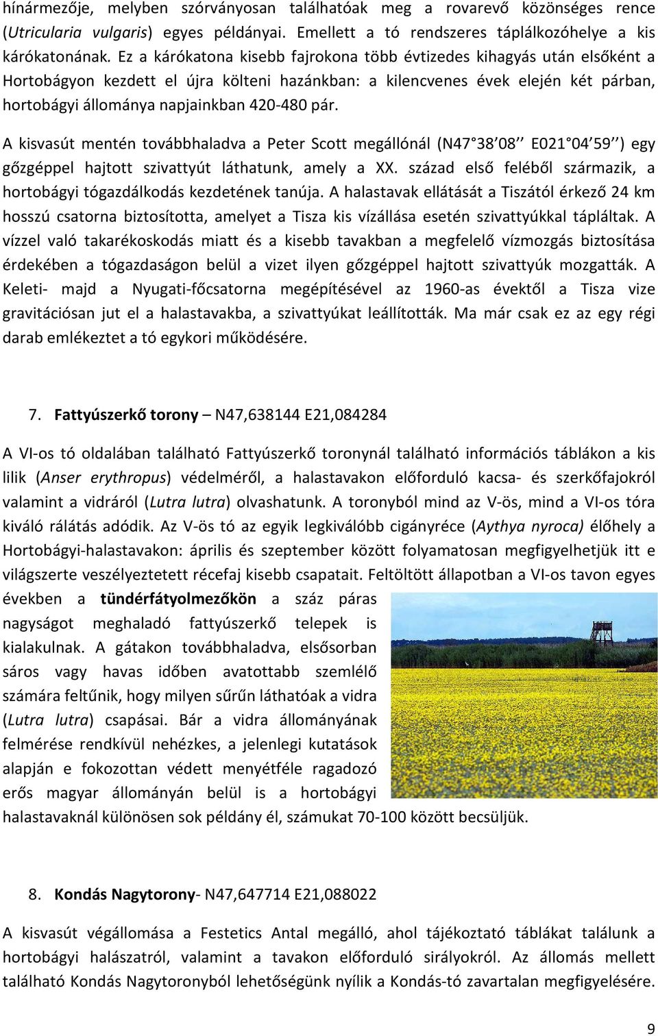 pár. A kisvasút mentén továbbhaladva a Peter Scott megállónál (N47 38 08 E021 04 59 ) egy gőzgéppel hajtott szivattyút láthatunk, amely a XX.