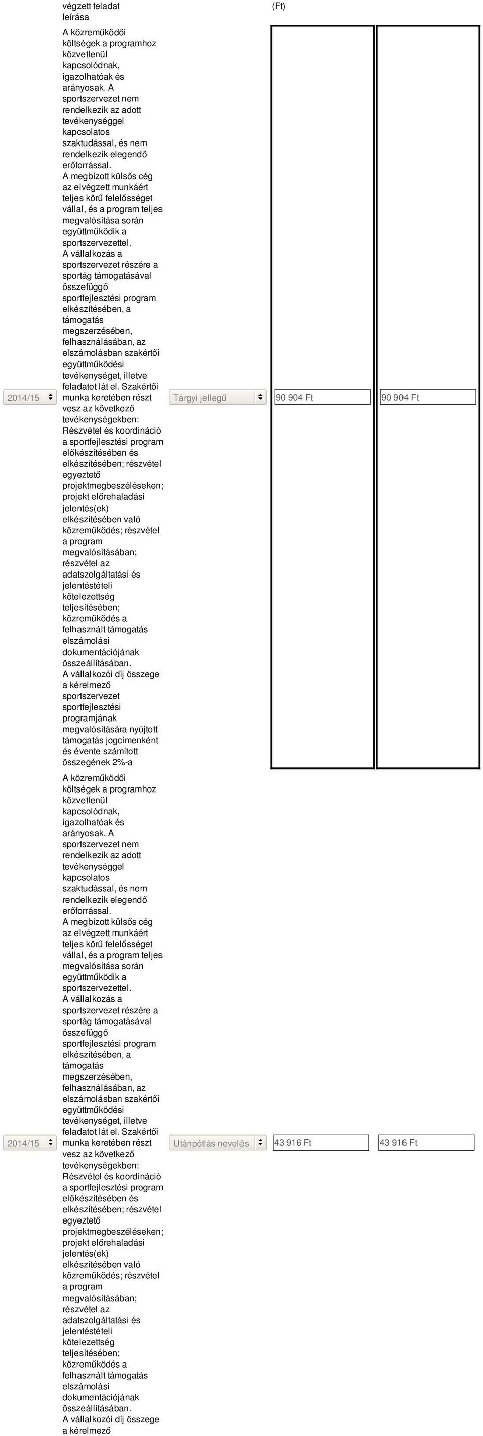 A megbízott külsős cég az elvégzett munkáért teljes körű felelősséget vállal, és a program teljes megvalósítása során együttműködik a sportszervezettel.