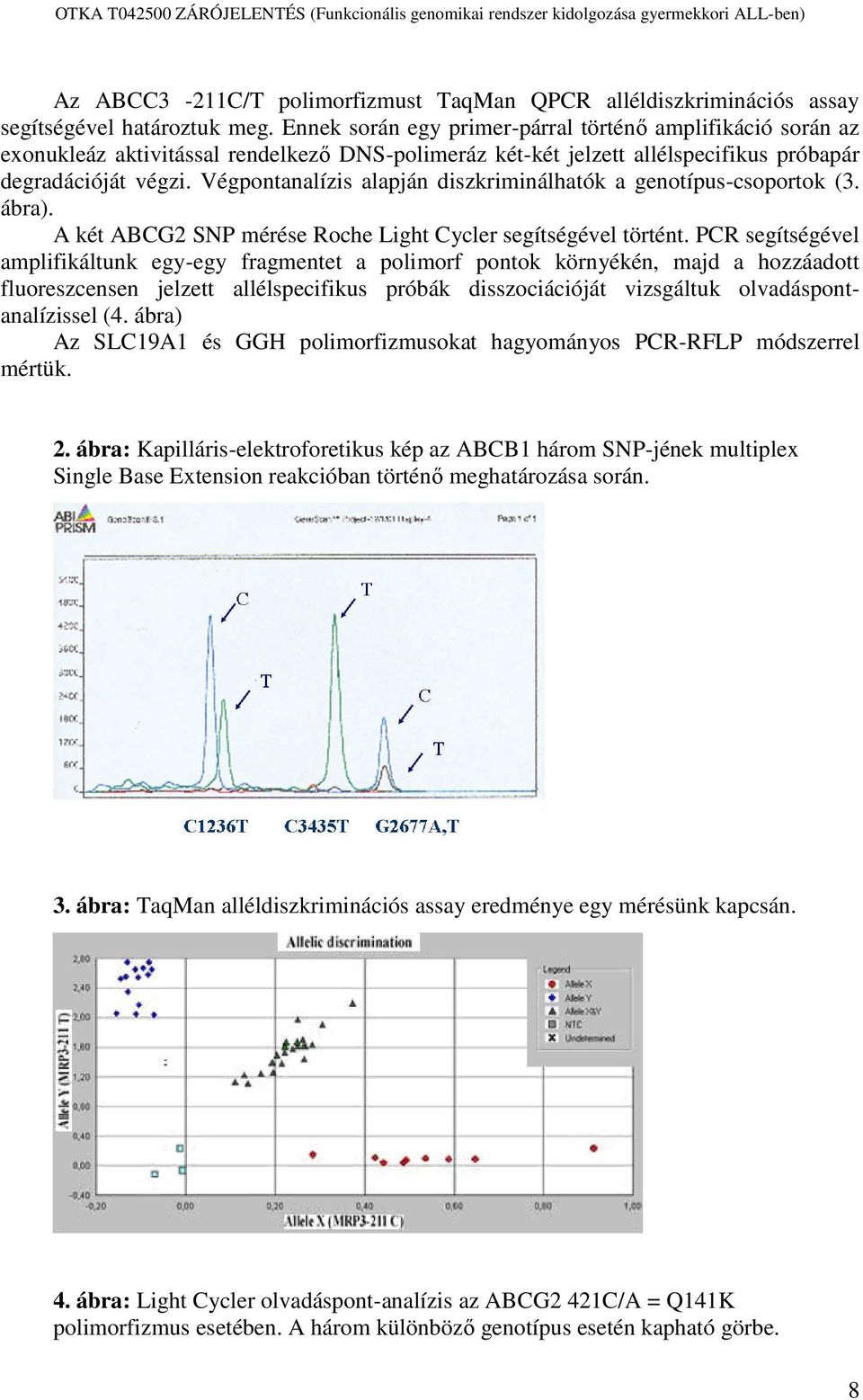 Végpontanalízis alapján diszkriminálhatók a genotípus-csoportok (3. ábra). A két ABCG2 SNP mérése Roche Light Cycler segítségével történt.