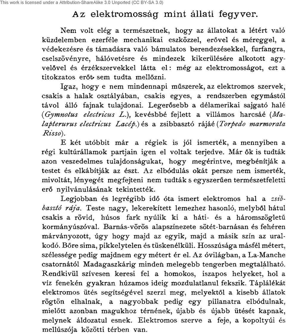 cselszövényre, hálóvetésre és mindezek kikerülésére alkotott agyvelővel és érzékszervekkel látta e l : még az elektromosságot, ezt a titokzatos erőt> sem tudta mellőzni.