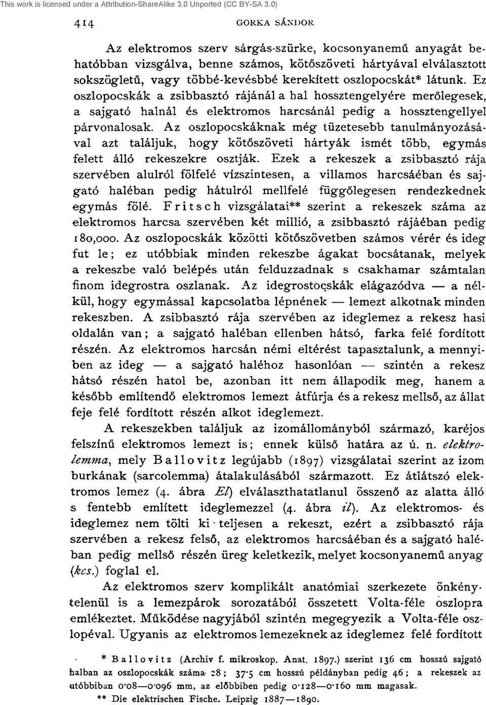 Az oszlopocskáknak még tüzetesebb tanulmányozásával azt találjuk, hogy kötőszöveti hártyák ismét több, egymás felett álló rekeszekre osztják.