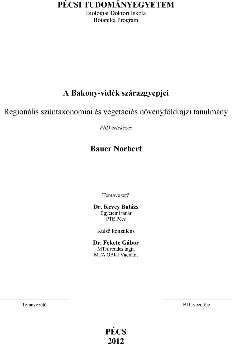 értekezés Bauer Norbert Témavezető Dr.