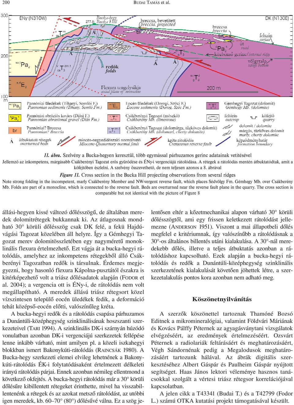 A rétegek a rátolódás mentén átbuktatódtak, amit a kőfejtőben észlelni. A szelvény összevethető, de nem teljesen azonos a 8. ábrával Figure 11.