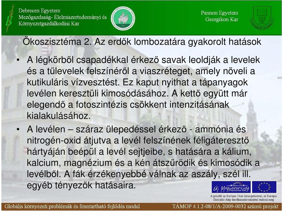 kutikuláris vízvesztést. Ez kaput nyithat a tápanyagok levélen keresztüli kimosódásához.