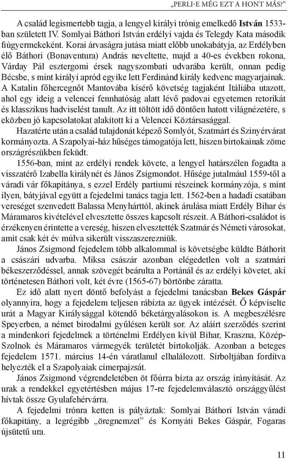 pedig Bécsbe, s mint királyi apród egyike lett Ferdinánd király kedvenc magyarjainak.