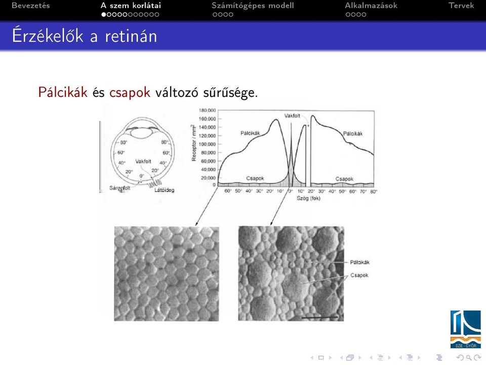 Pálcikák és