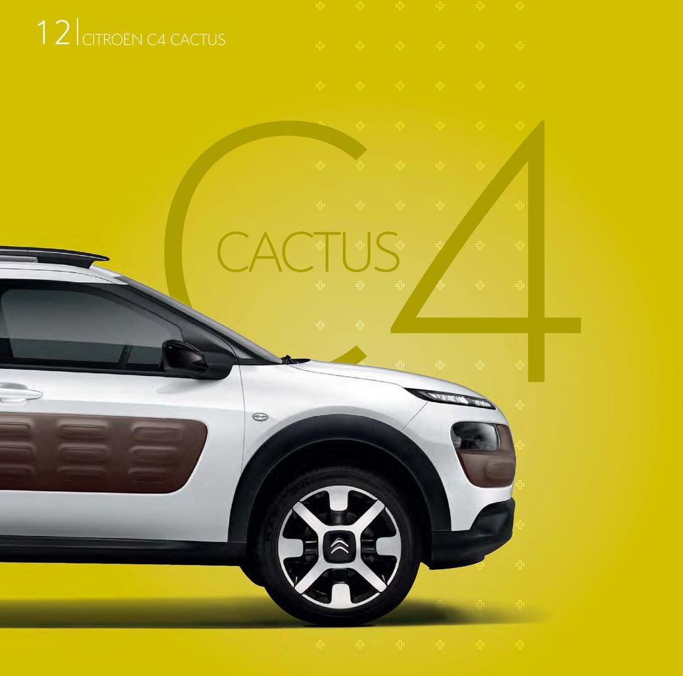 C4 CACTUS