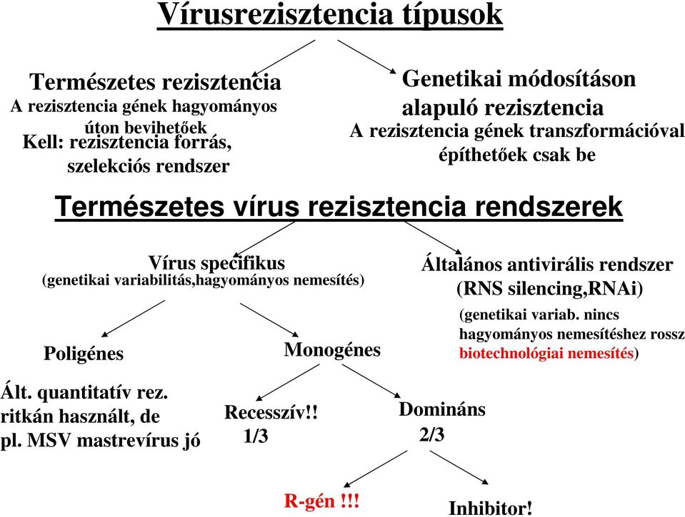 specifikus (genetikai variabilitás,hagyományos nemesítés) Poligénes Monogénes Általános antivirális rendszer (RNS silencing,rnai) (genetikai variab.