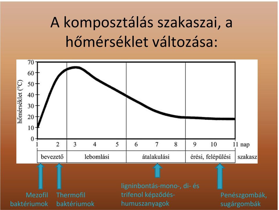 baktériumok ligninbontás mono, di és