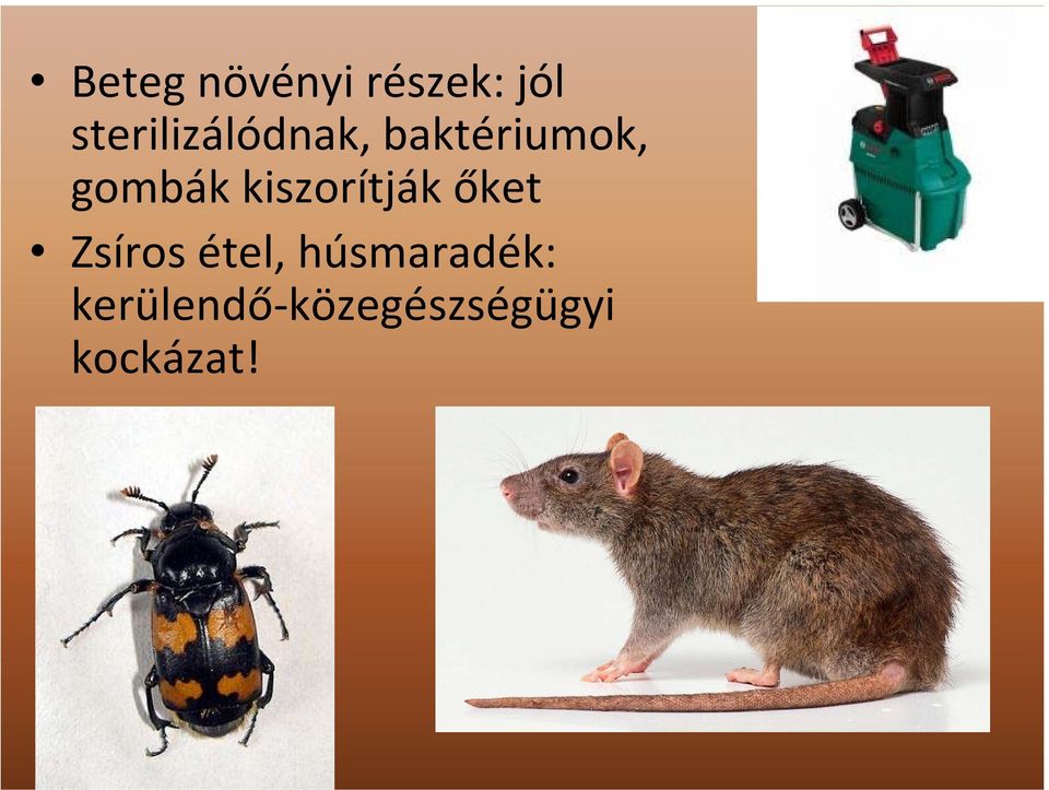 gombák kiszorítják őket Zsíros