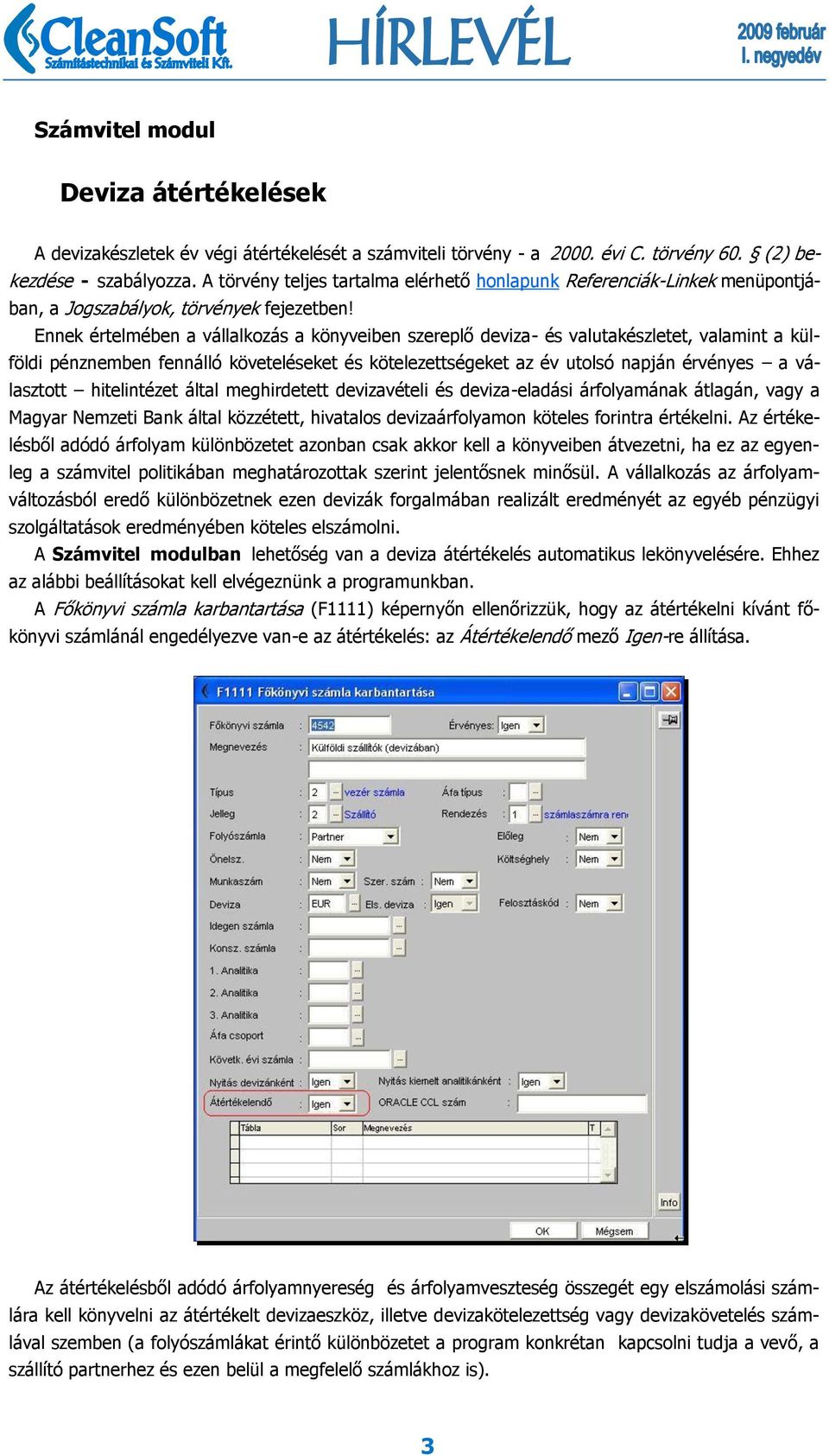 Ennek értelmében a vállalkozás a könyveiben szereplő deviza- és valutakészletet, valamint a külföldi pénznemben fennálló követeléseket és kötelezettségeket az év utolsó napján érvényes a választott