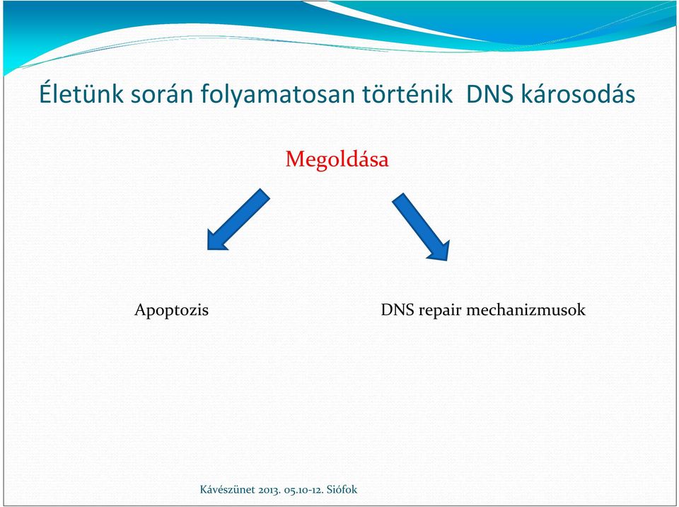 DNS károsodás Megoldása