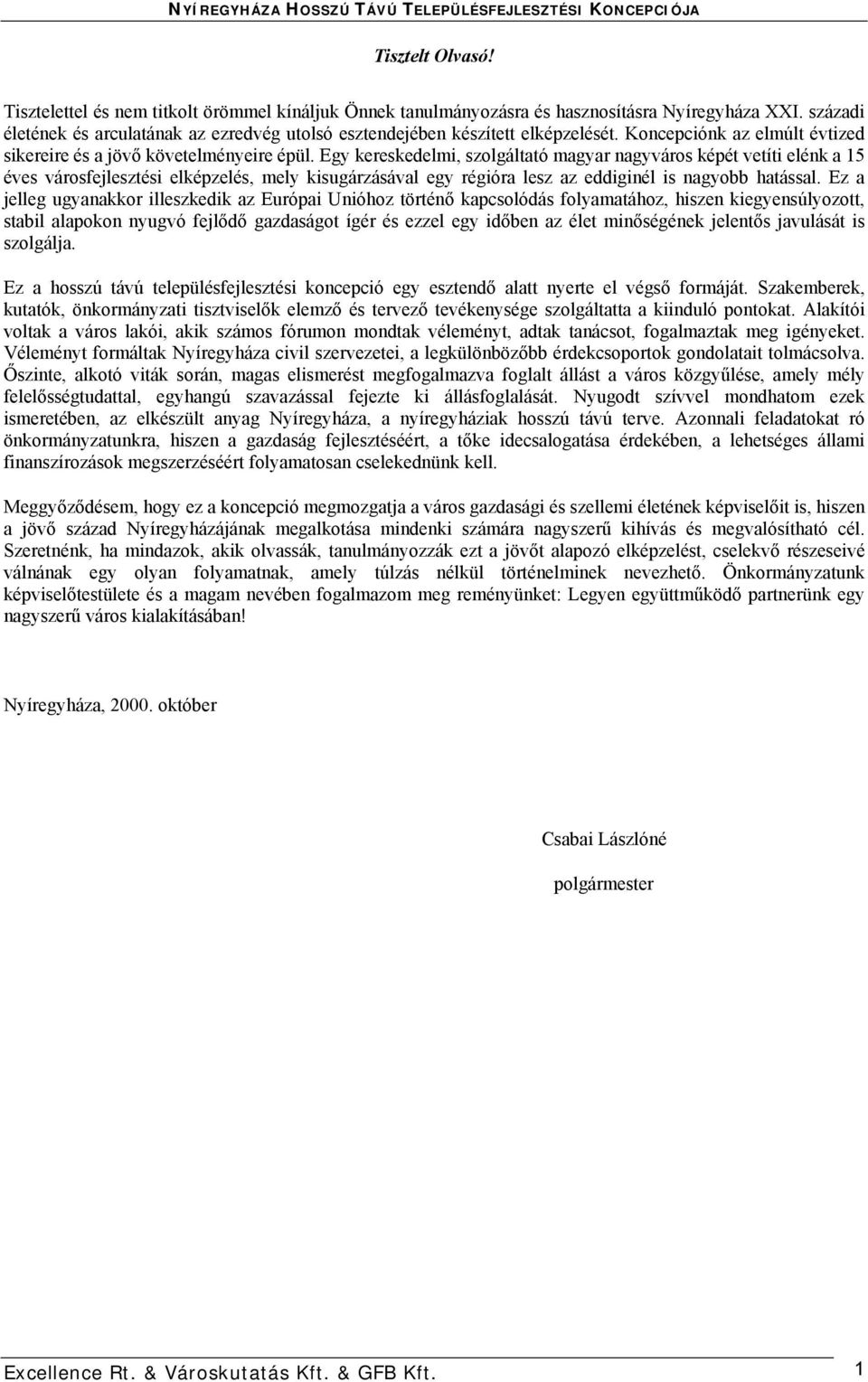 Egy kereskedelmi, szolgáltató magyar nagyváros képét vetíti elénk a 15 éves városfejlesztési elképzelés, mely kisugárzásával egy régióra lesz az eddiginél is nagyobb hatással.