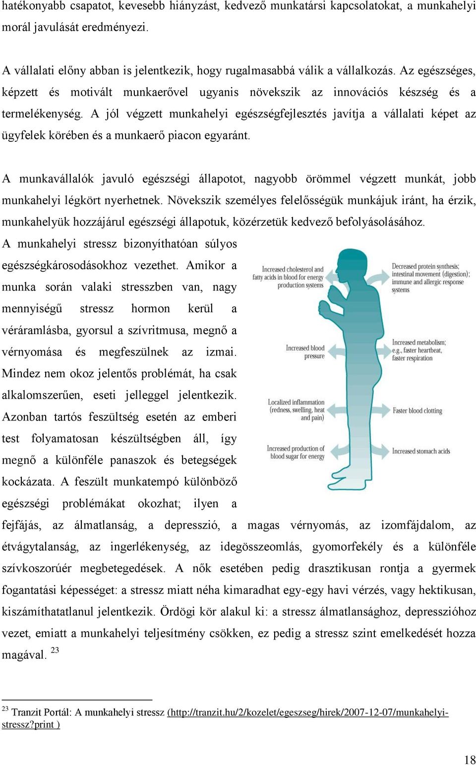 A jól végzett munkahelyi egészségfejlesztés javítja a vállalati képet az ügyfelek körében és a munkaerő piacon egyaránt.