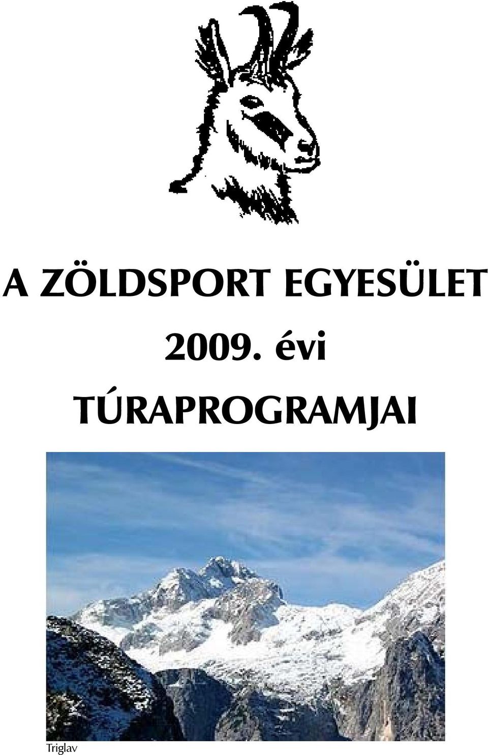 2009. évi